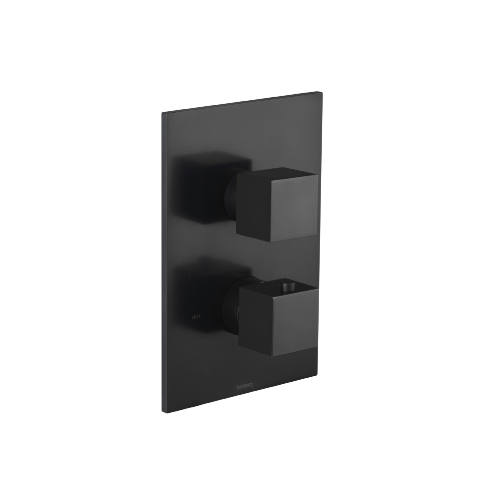 3/4" Thermostatic Shower Valve & Trim - 1 Output | Matte Black